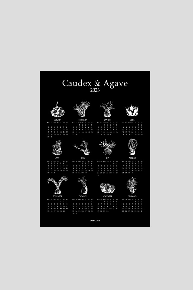 2023 Caudex &amp; Agave Calendar Poster