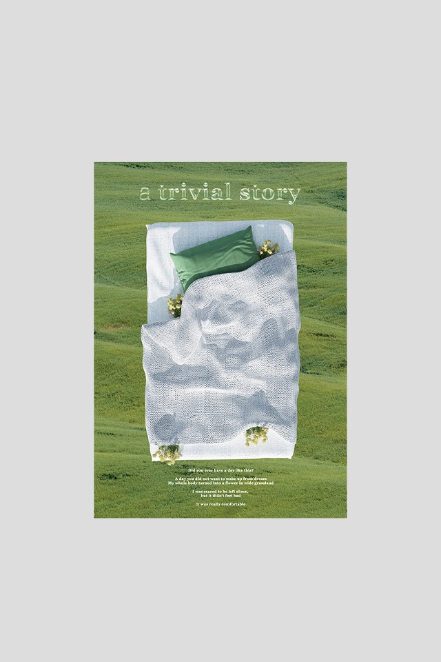 a trivial story 포스터