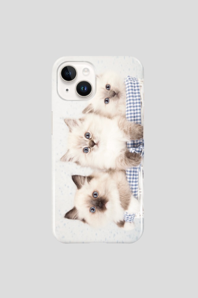 basket twin kitty phone case