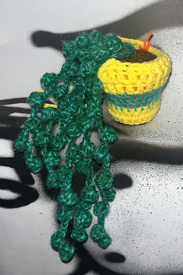 Love Paradise Crochet String of Pearls Plants + Hanging Pot set