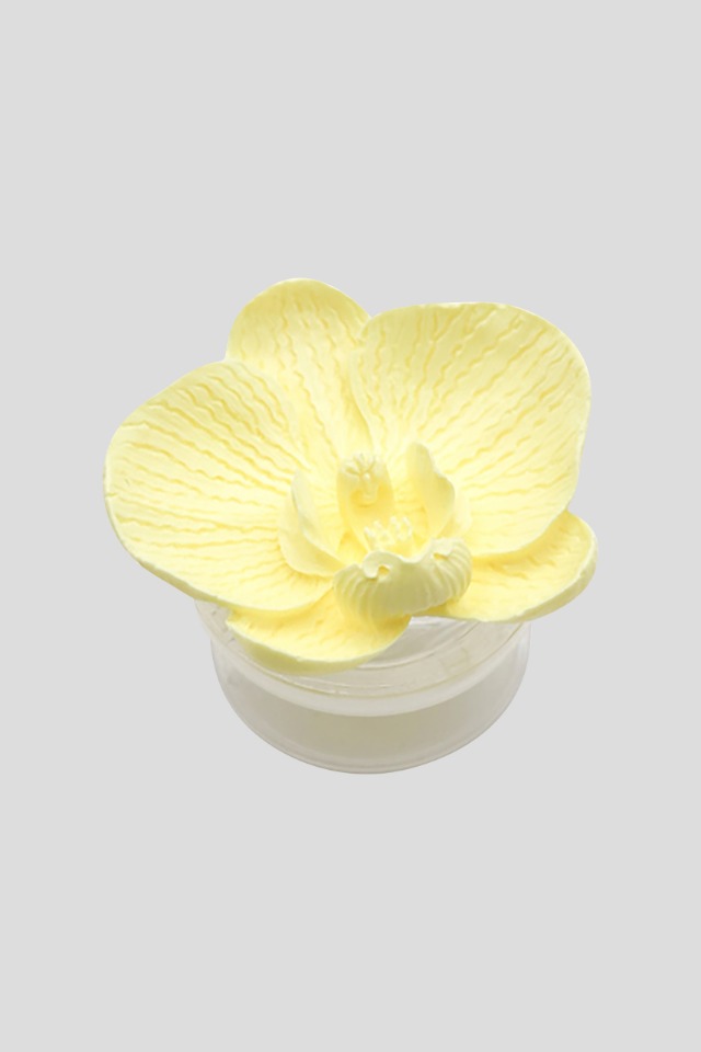 Orchid_ Yellow